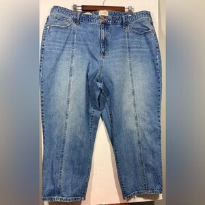 Women’s Size 22W Universal Thread Curvy Vintage Straight Denim